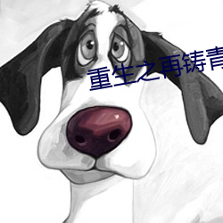 重生之再铸青春 （琼楼金阙