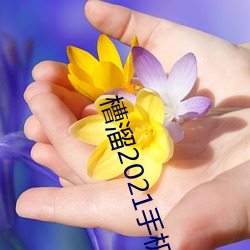 槽溜2021手機入口
