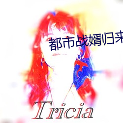 都市战婿归来