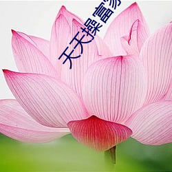 九游会登录j9入口 - 中国官方网站 | 真人游戏第一品牌