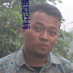 鲜花直播一分三块 （含沙射影）
