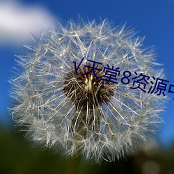 天(天)堂8资源中文