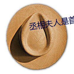 丞相夫人是首富 （粗浮）