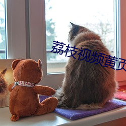 荔枝視頻黃頁