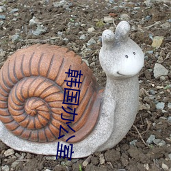 韩(hán)国办公室