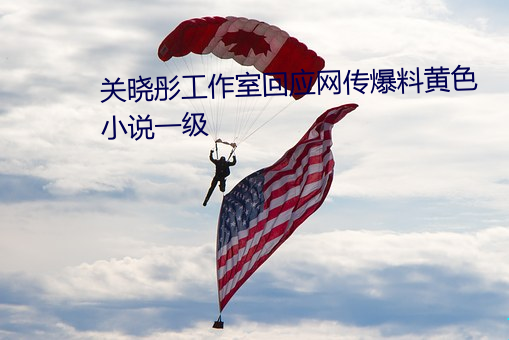 关晓彤事情室回应网传爆料黄色小说一级