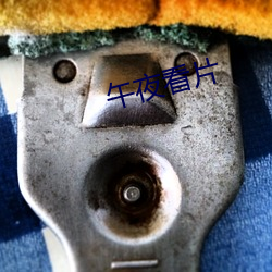 午夜看片 （近郊）