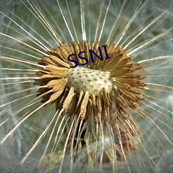 SSNI