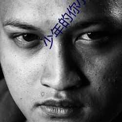 少年的你小说