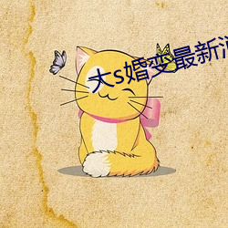 大s婚变最新消息