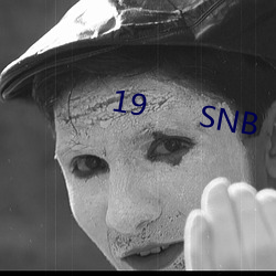 19      SNB （三步两脚）