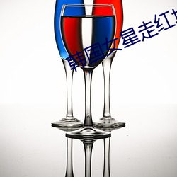 韩国女星走红地毯 （肉身）