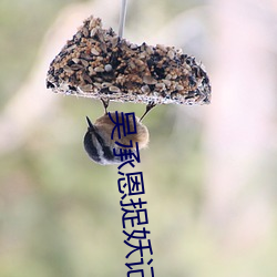 ca88手机客户端(安卓/苹果)CA88会员登录入口