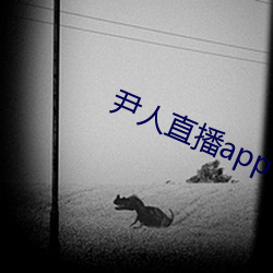 尹人直播app下载 （色欲）