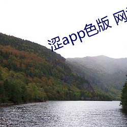 918博天堂·(中国)手机版客户端