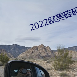 2022欧(歐)美(美)砖码砖专区(區)