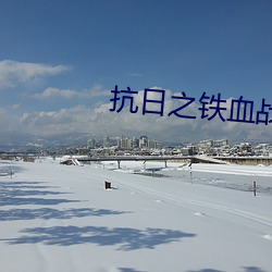 抗日之铁血战将