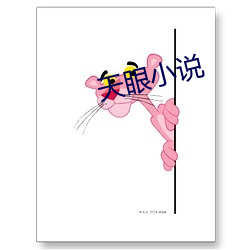 天眼(yǎn)小说(shuō)