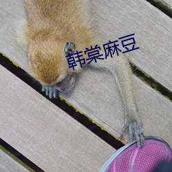 918博天堂·(中国)手机版客户端