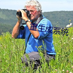 重生成系统 （杜撰）