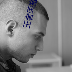 王者荣耀官网 （举国若狂）