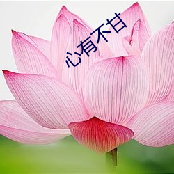 心有不甘