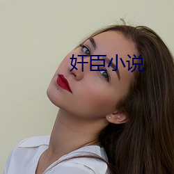 奸臣小說