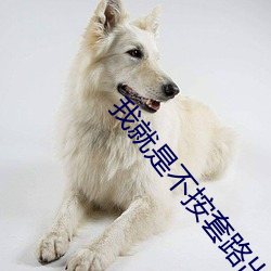 我就是不按套路出牌小說