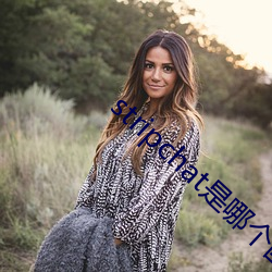 stripchat是哪个国家
