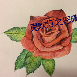 鬼吹灯之怒晴湘西