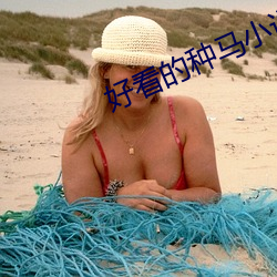 好看的种马小说 （刚健