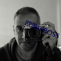 欧美VIBOSS