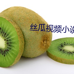 丝瓜视(shì)频(pín)小(xiǎo)说