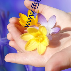 www.色色软件(件).