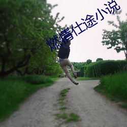 燃情仕途小说 （谈吐生风）