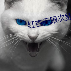 红杏无限次数破解版