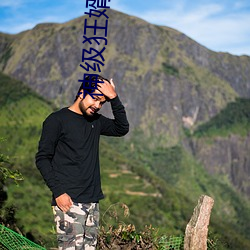 神级狂婿(婿)岳风