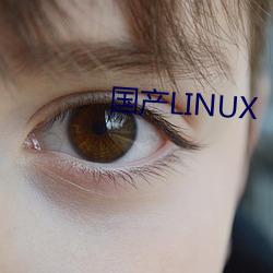 国(國)产(産)LINUX