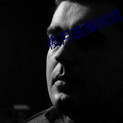 夜月直播视频