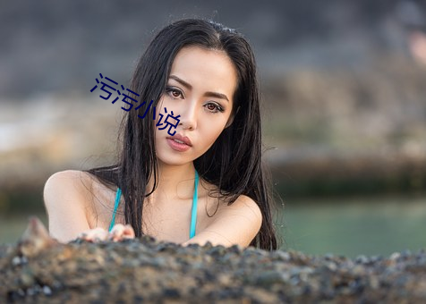 污污小说(說)