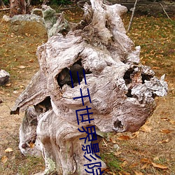 三千世界影院