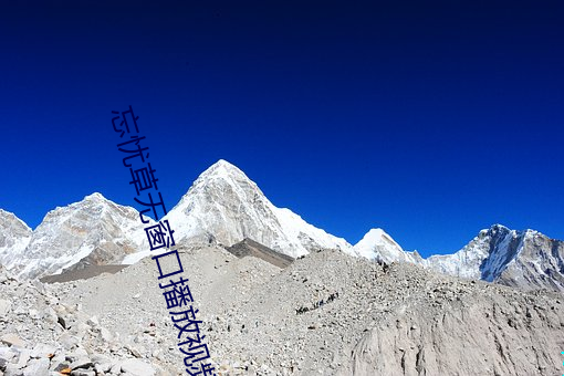 忘忧草(草)无窗口(口)播放视频