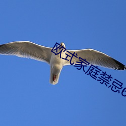 欧式家庭禁忌6