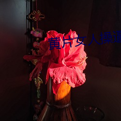 ca88手机客户端(安卓/苹果)CA88会员登录入口