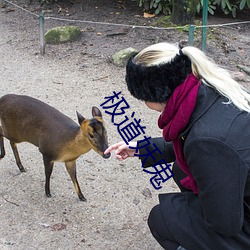 极道妖鬼