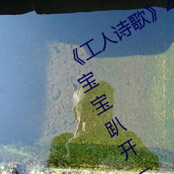 ʫ衷2:ѧѾ汦ſһGIFͼƬ 裩