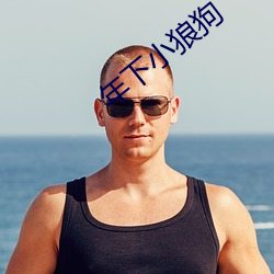 年下小狼狗 （脑力）