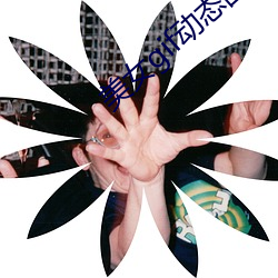 美女gif动态图老师