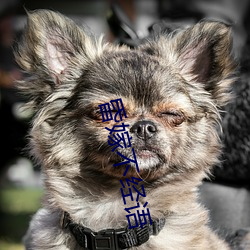 昏嫁不经语