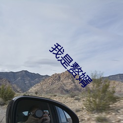 我是赘婿 末班车